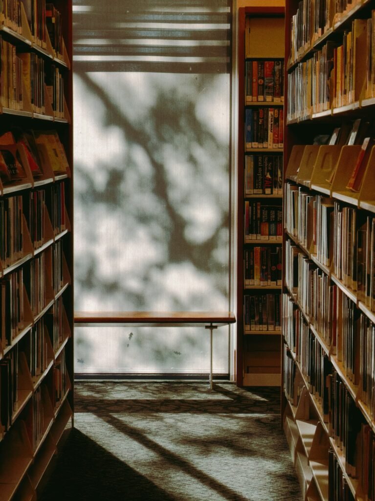 Sunlight and tree shadows at the end of an aisle between library bookshelves